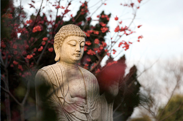  Buddha, deep somatic and past life therapy